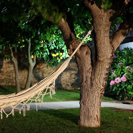 Guest house Solar De - Turismo De Habitacao